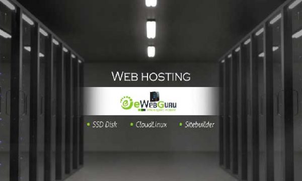 The importance of web hosting in today’s world