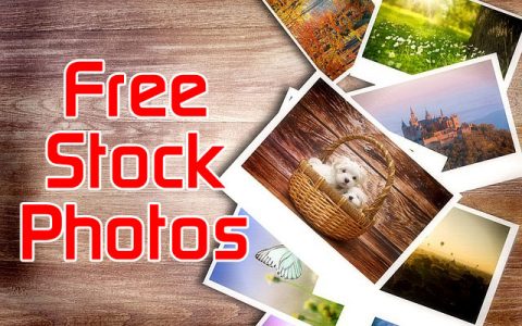 Free Stock Photos