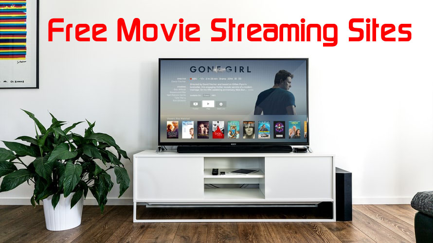 Top 10 Free Movie Streaming Sites in 2022